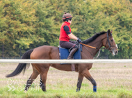 AK021025-41 - Believitanducan